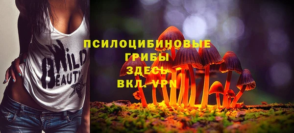 спиды Нея