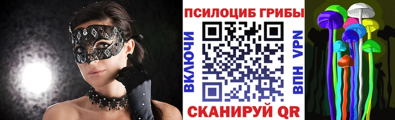 Галлюциногенные грибы мицелий  магазин продажи   Белгород 