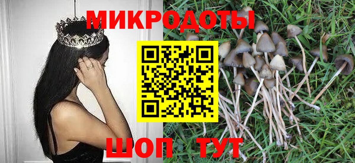 Псилоцибиновые грибы MAGIC MUSHROOMS Белгород