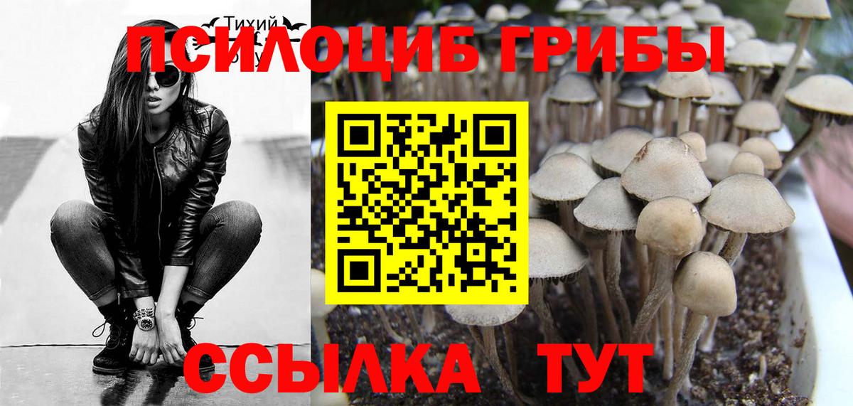 наркошоп  Белгород  Галлюциногенные грибы Psilocybe 