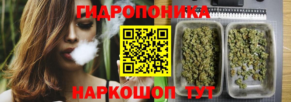 Шишки марихуана Amnesia  Вход с VPN  Марихуана конопля  Шишки марихуана сатива  Белгород 